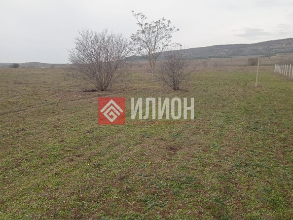 
  Продается земельный участок 79 соток. Фото 6.