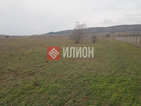 
  Продается земельный участок 79 соток. Фото 12.
