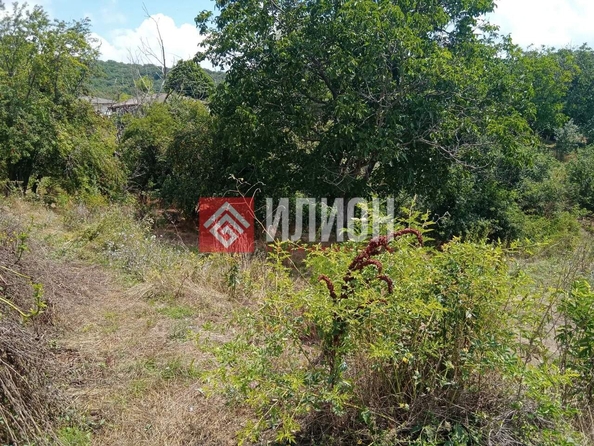
  Продается земельный участок 8.4 соток. Фото 5.