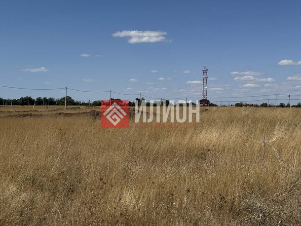 
  Продается земельный участок 6 соток. Фото 4.