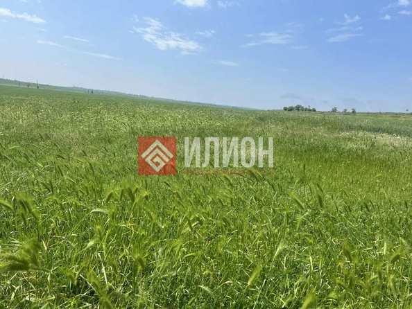
  Продается земельный участок 7 соток. Фото 2.