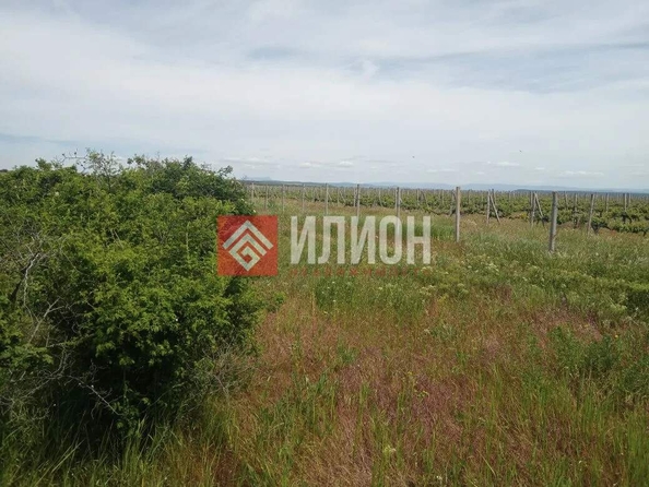 
  Продается земельный участок 550 соток. Фото 3.