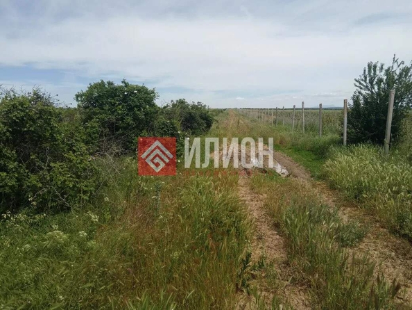 
  Продается земельный участок 550 соток. Фото 4.
