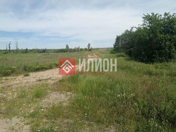 
  Продается земельный участок 550 соток. Фото 6.