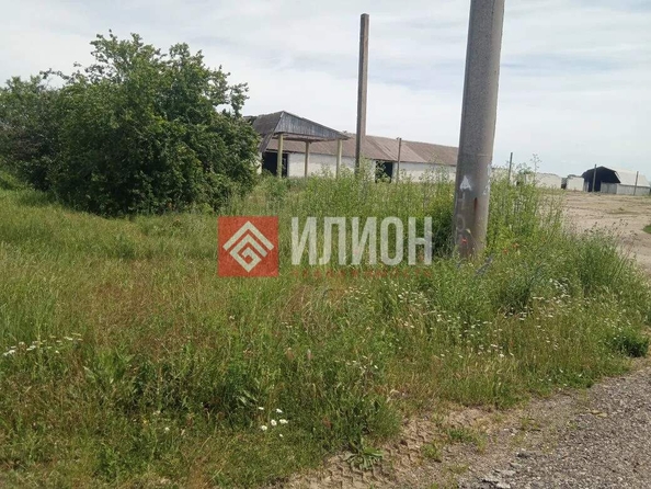 
  Продается земельный участок 550 соток. Фото 7.