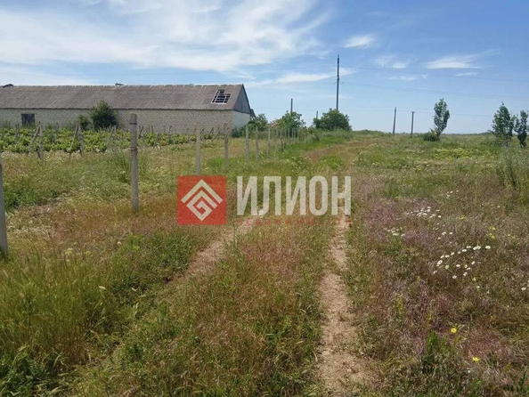 
  Продается земельный участок 550 соток. Фото 11.