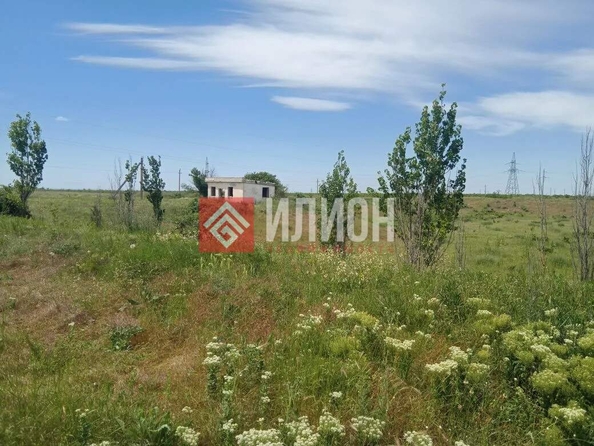 
  Продается земельный участок 550 соток. Фото 13.