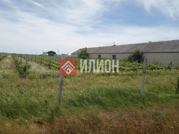 
  Продается земельный участок 550 соток. Фото 15.