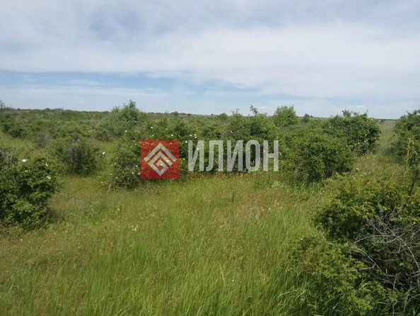 
  Продается земельный участок 550 соток. Фото 17.
