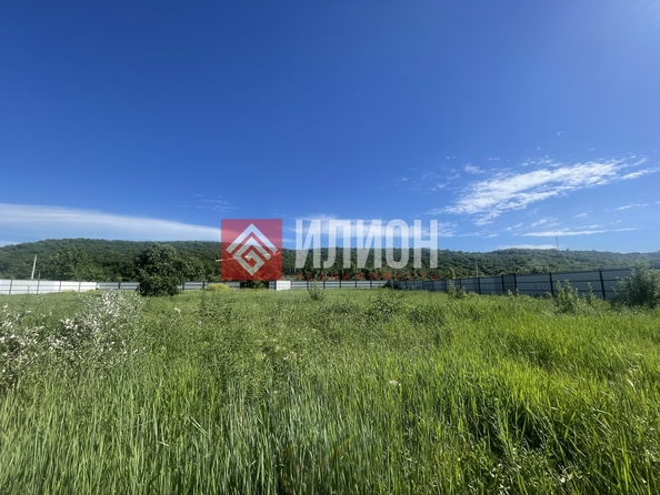
  Продается земельный участок 35 соток. Фото 2.