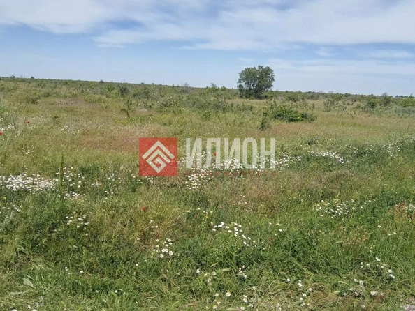 
  Продается земельный участок 2000 соток. Фото 7.