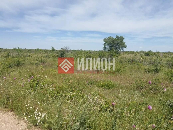 
  Продается земельный участок 2000 соток. Фото 8.