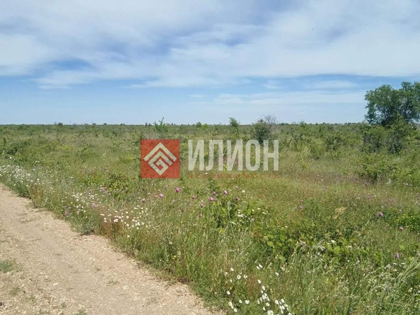 
  Продается земельный участок 2000 соток. Фото 13.