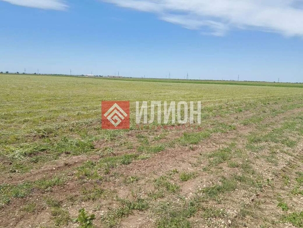 
  Продается земельный участок 2000 соток. Фото 16.