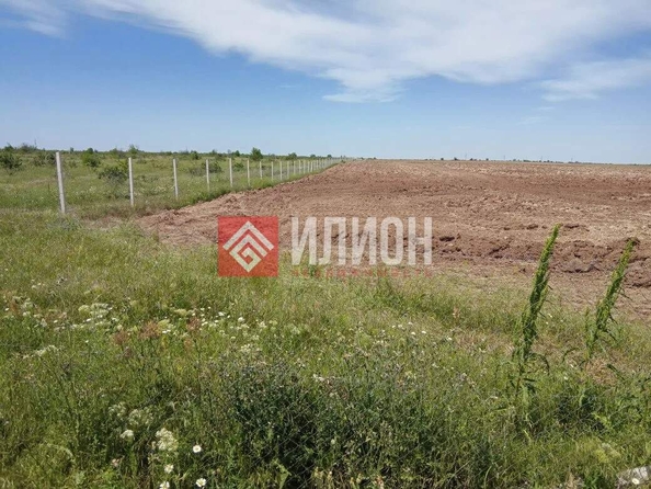 
  Продается земельный участок 2000 соток. Фото 18.