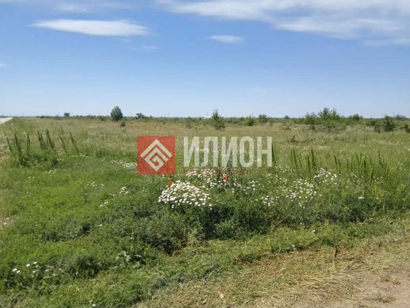 
  Продается земельный участок 2000 соток. Фото 19.