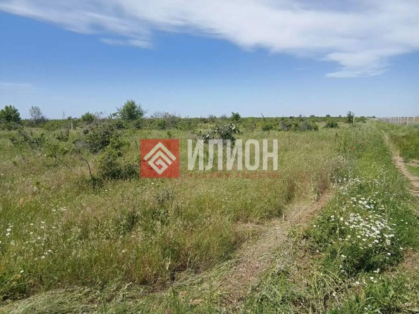 
  Продается земельный участок 2000 соток. Фото 23.