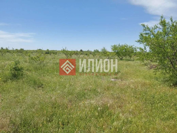 
  Продается земельный участок 2000 соток. Фото 25.