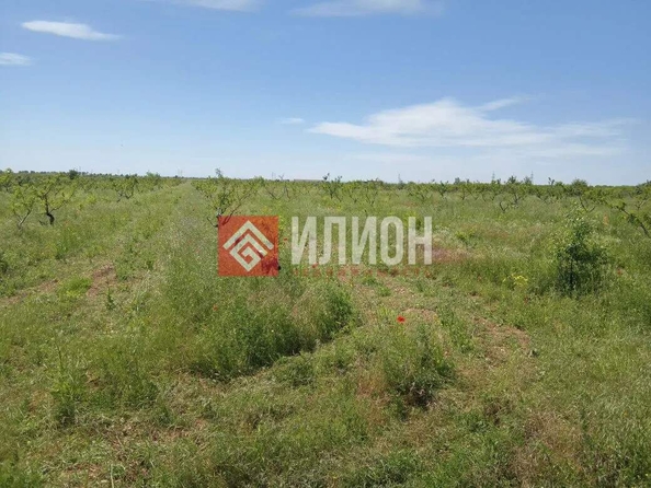 
  Продается земельный участок 2000 соток. Фото 27.
