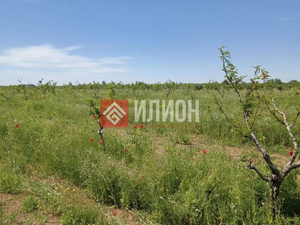 
  Продается земельный участок 2000 соток. Фото 30.