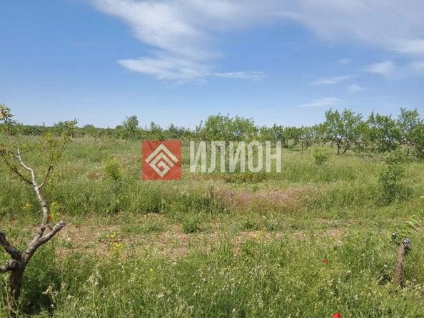 
  Продается земельный участок 2000 соток. Фото 31.