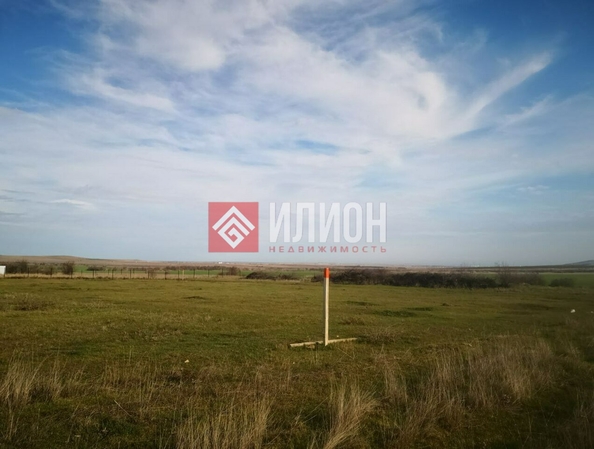 
  Продается земельный участок 50 соток. Фото 7.