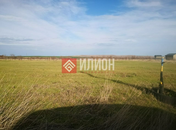 
  Продается земельный участок 50 соток. Фото 13.