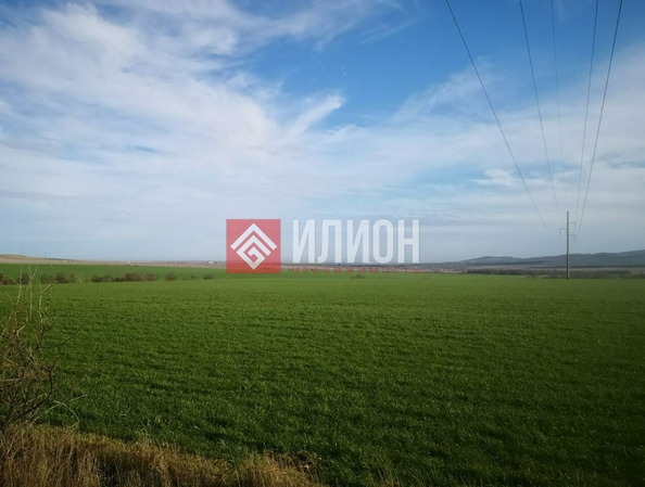 
  Продается земельный участок 50 соток. Фото 21.