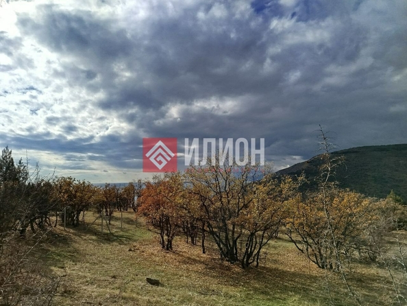 
  Продается земельный участок 5 соток. Фото 3.