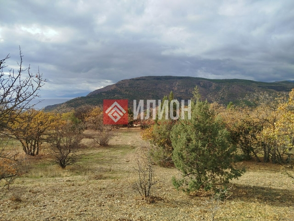 
  Продается земельный участок 5 соток. Фото 4.