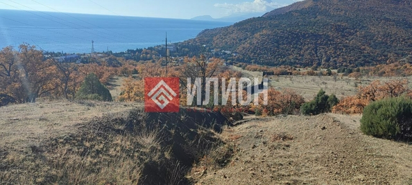 
  Продается земельный участок 3 сотки. Фото 1.