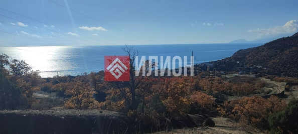 
  Продается земельный участок 3 сотки. Фото 5.