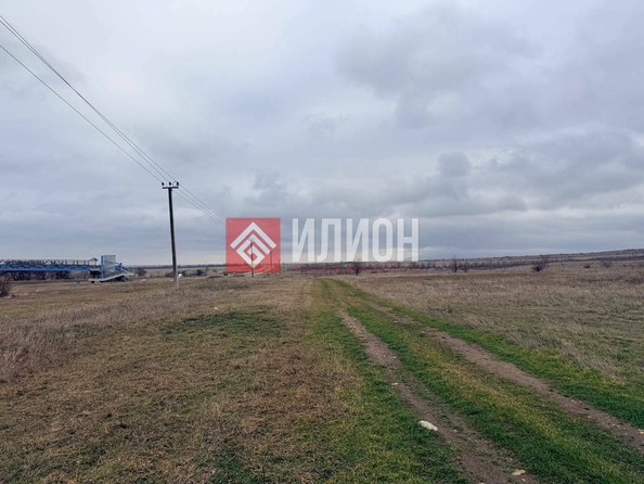 
  Продается земельный участок 270 соток. Фото 3.