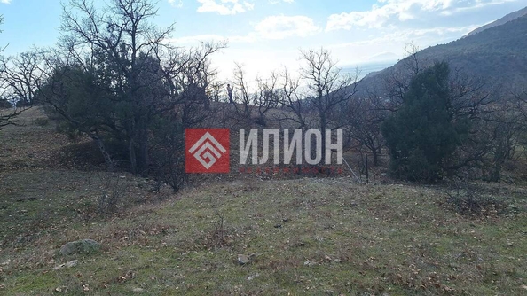 
  Продается земельный участок 5 соток. Фото 5.