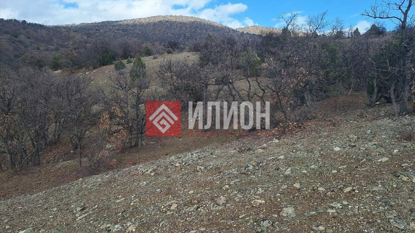 
  Продается земельный участок 5 соток. Фото 7.
