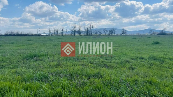 
  Продается земельный участок 300 соток. Фото 2.