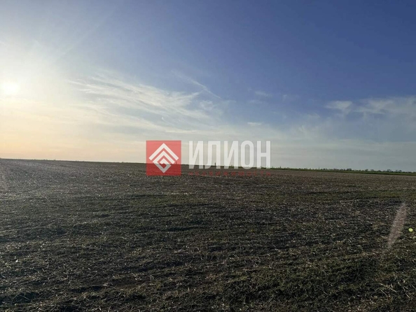 
  Продается земельный участок 130 соток. Фото 6.