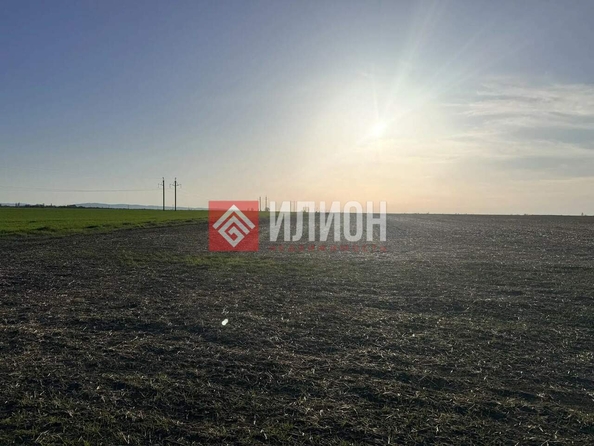 
  Продается земельный участок 130 соток. Фото 8.