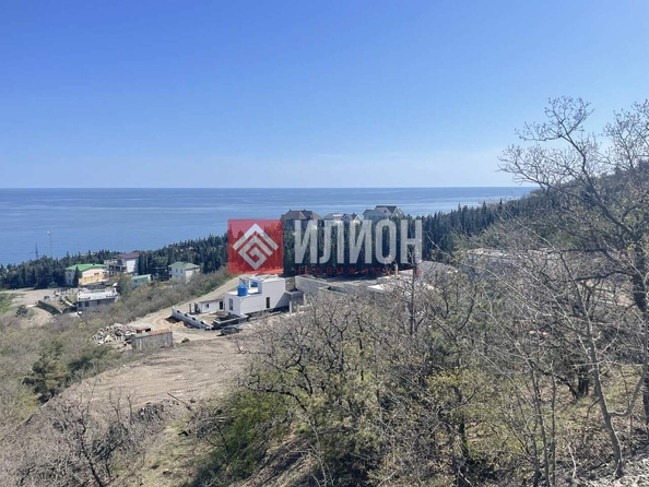 
  Продается земельный участок 100 соток. Фото 4.