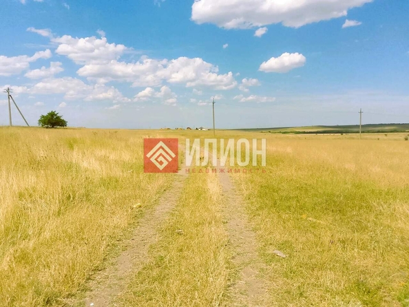 
  Продается земельный участок 70 соток. Фото 2.