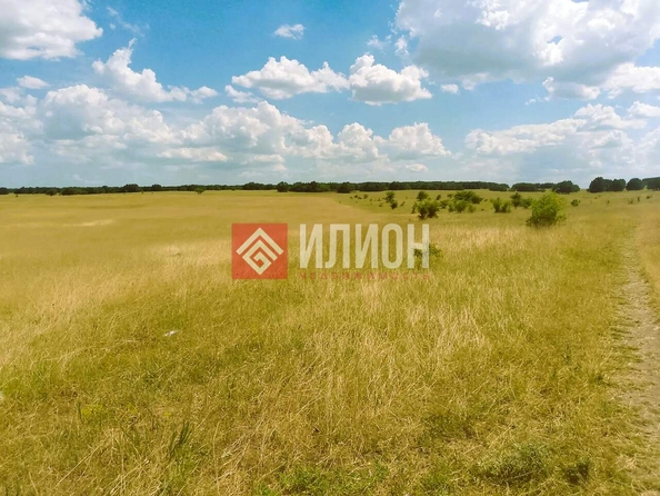 
  Продается земельный участок 70 соток. Фото 4.