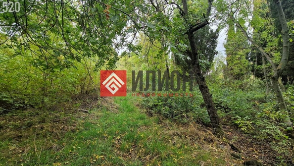 
  Продается земельный участок 9 соток. Фото 9.