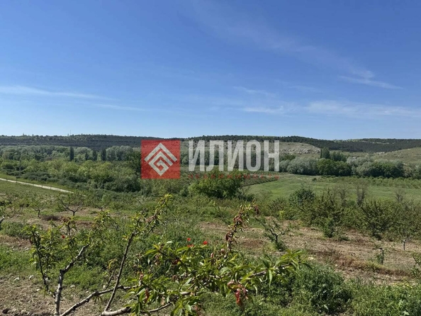 
  Продается земельный участок 6 соток. Фото 4.