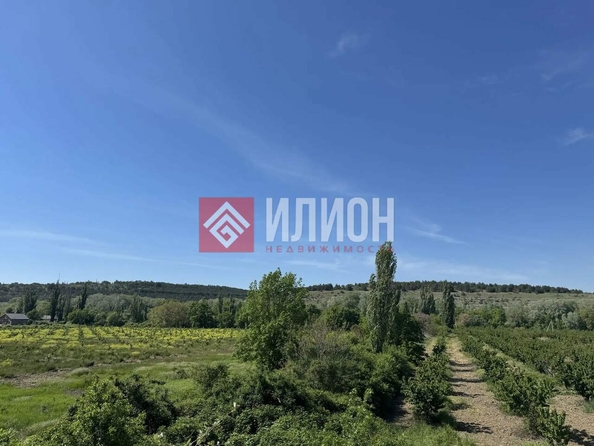 
  Продается земельный участок 5 соток. Фото 4.