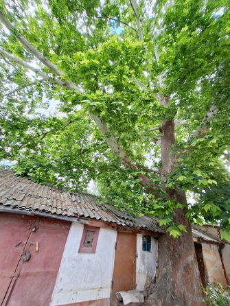 
  Продается 2-комн. квартира 34.3 м². Фото 41.