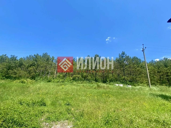 
  Продается земельный участок 6 соток. Фото 2.