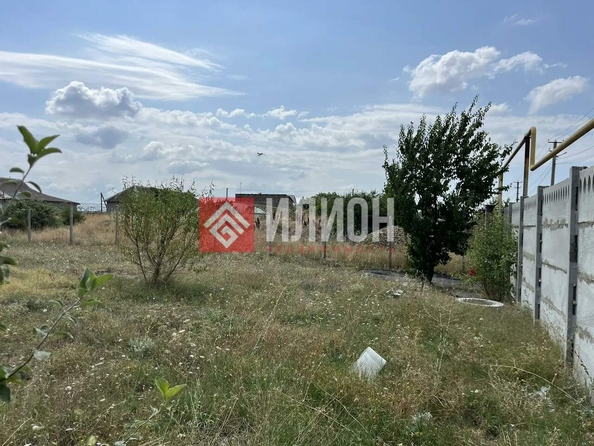 
  Продается земельный участок 20 соток. Фото 8.