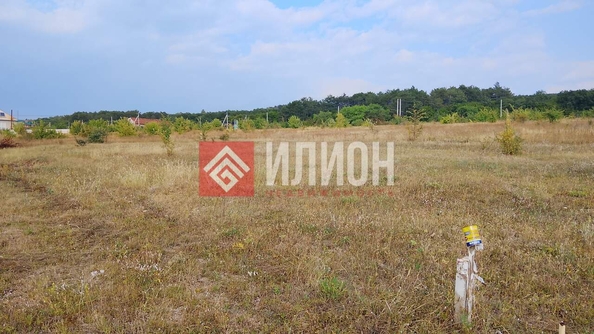 
  Продается земельный участок 10 соток. Фото 10.