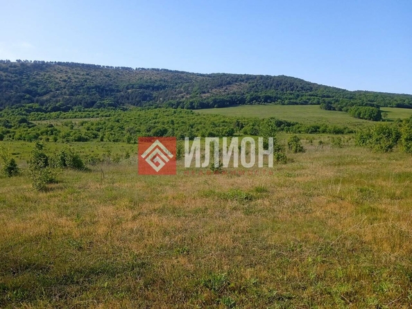 
  Продается земельный участок 430 соток. Фото 1.