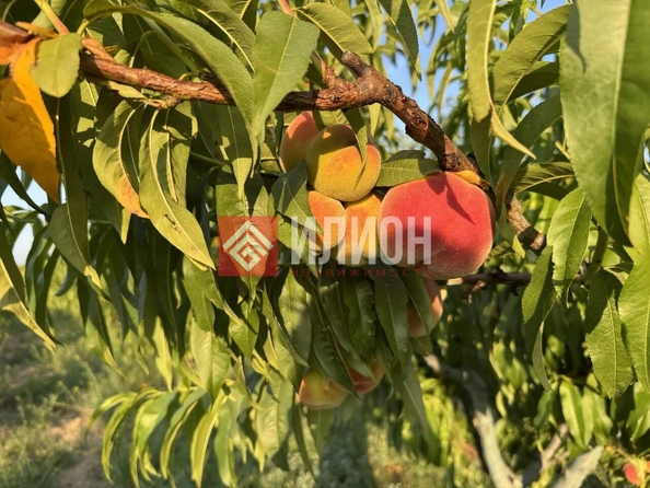 
  Продается земельный участок 4 сотки. Фото 6.